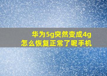 华为5g突然变成4g怎么恢复正常了呢手机