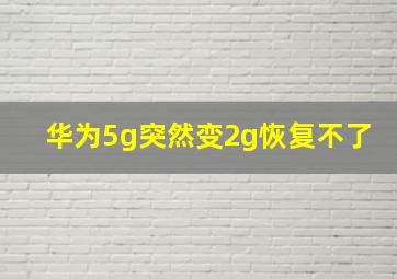 华为5g突然变2g恢复不了