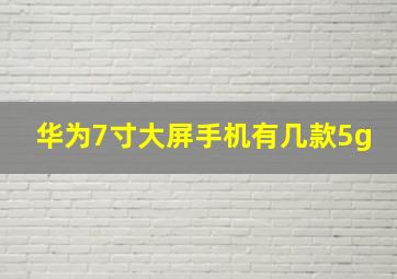 华为7寸大屏手机有几款5g