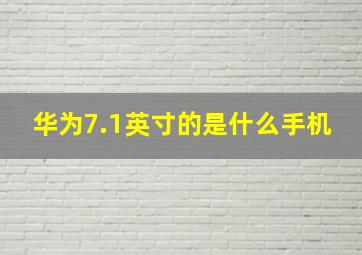 华为7.1英寸的是什么手机