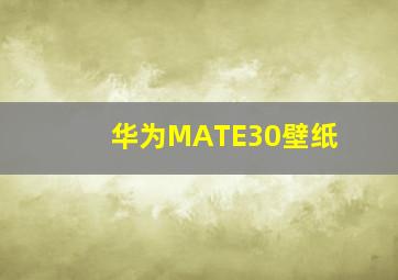 华为MATE30壁纸