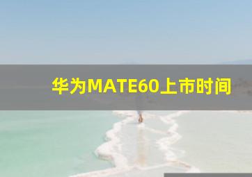 华为MATE60上市时间