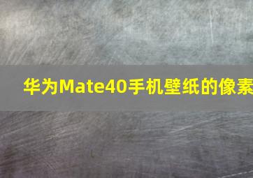 华为Mate40手机壁纸的像素