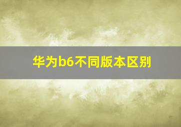 华为b6不同版本区别