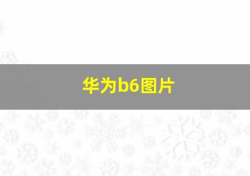 华为b6图片