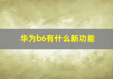 华为b6有什么新功能