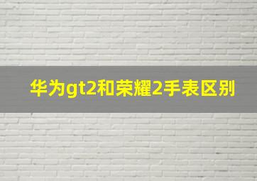 华为gt2和荣耀2手表区别