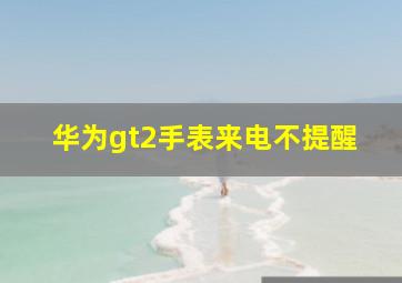 华为gt2手表来电不提醒