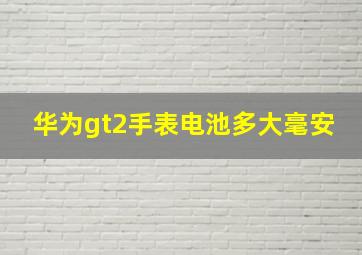 华为gt2手表电池多大毫安