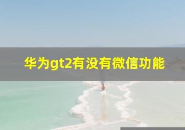 华为gt2有没有微信功能