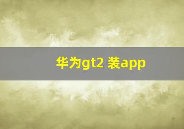 华为gt2 装app