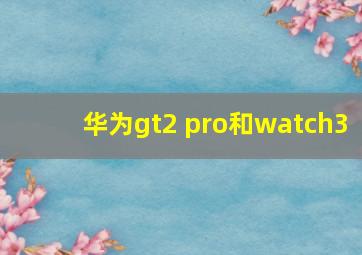 华为gt2 pro和watch3