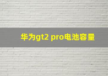 华为gt2 pro电池容量