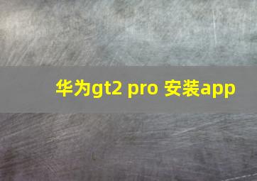 华为gt2 pro 安装app