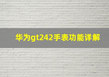 华为gt242手表功能详解