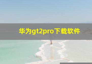 华为gt2pro下载软件