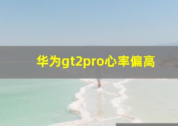 华为gt2pro心率偏高