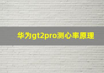 华为gt2pro测心率原理