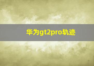 华为gt2pro轨迹