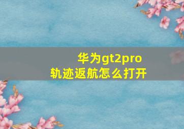 华为gt2pro轨迹返航怎么打开