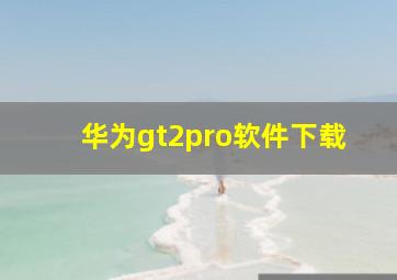 华为gt2pro软件下载