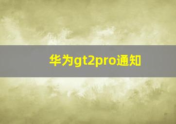 华为gt2pro通知