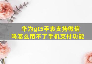 华为gt5手表支持微信吗怎么用不了手机支付功能