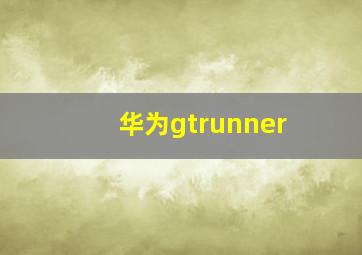 华为gtrunner