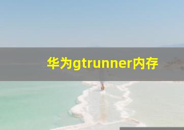 华为gtrunner内存