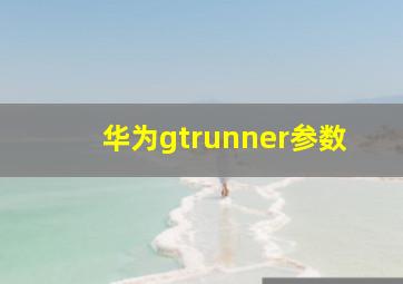 华为gtrunner参数