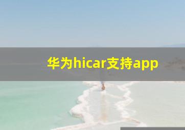 华为hicar支持app