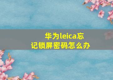 华为leica忘记锁屏密码怎么办