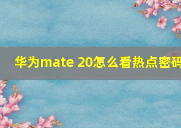 华为mate 20怎么看热点密码