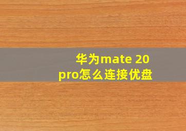 华为mate 20 pro怎么连接优盘