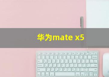 华为mate x5