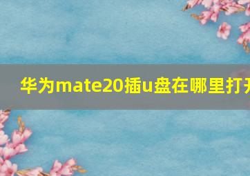 华为mate20插u盘在哪里打开