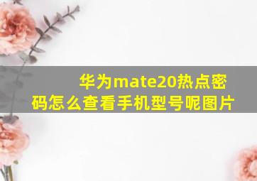 华为mate20热点密码怎么查看手机型号呢图片