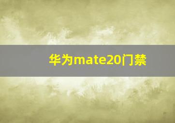 华为mate20门禁