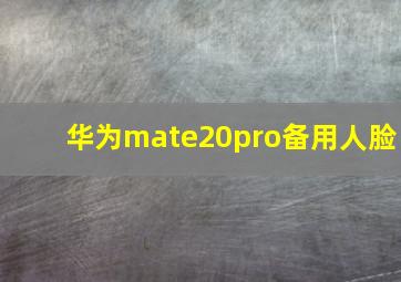 华为mate20pro备用人脸