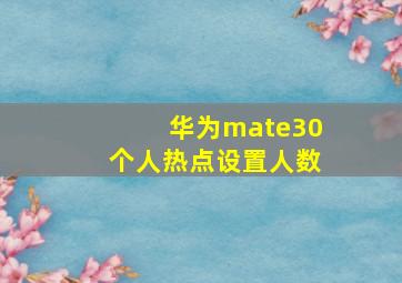 华为mate30个人热点设置人数