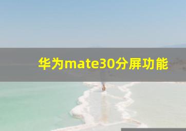 华为mate30分屏功能