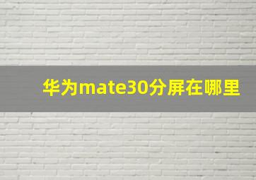 华为mate30分屏在哪里