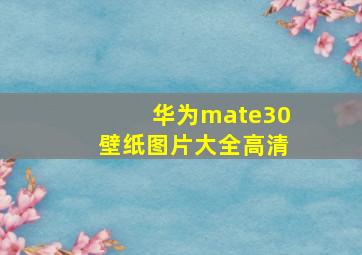 华为mate30壁纸图片大全高清