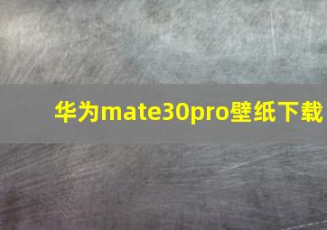 华为mate30pro壁纸下载