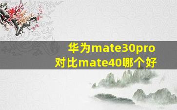 华为mate30pro对比mate40哪个好