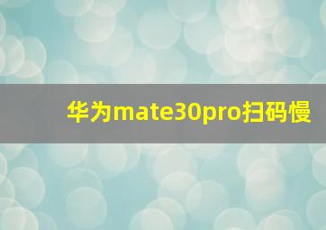 华为mate30pro扫码慢