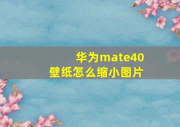 华为mate40壁纸怎么缩小图片