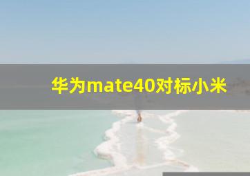 华为mate40对标小米