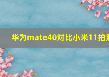 华为mate40对比小米11拍照