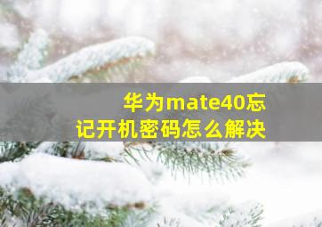 华为mate40忘记开机密码怎么解决